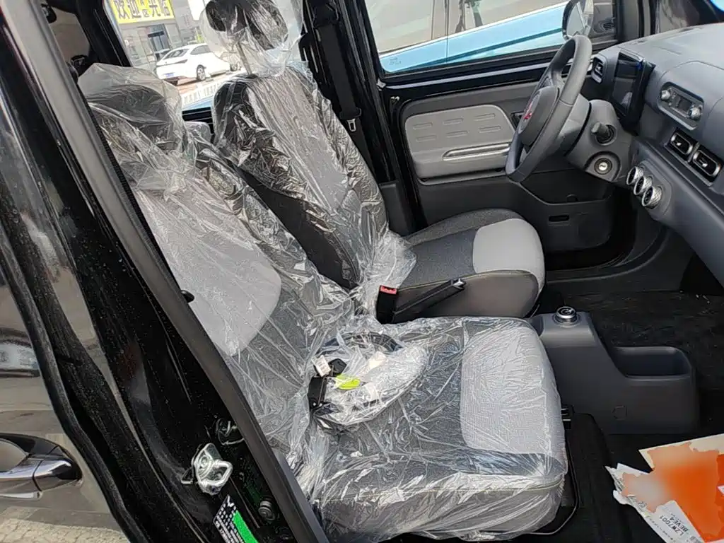 Wuling Motors Wuling Zhiguang NEV 2026 2025 Model 305km Base Version
