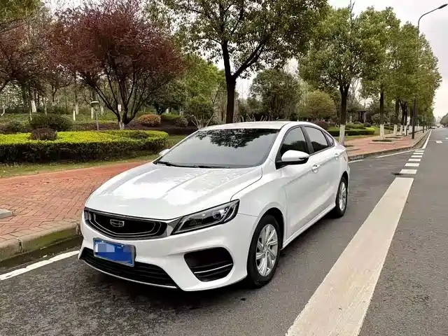 GEELY AUTOMOBILE BINRUI