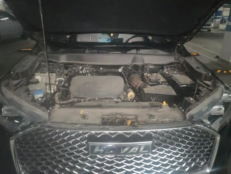 Haval H6 2024 2022 3rd Gen 1.5T Auto 2WD Pro