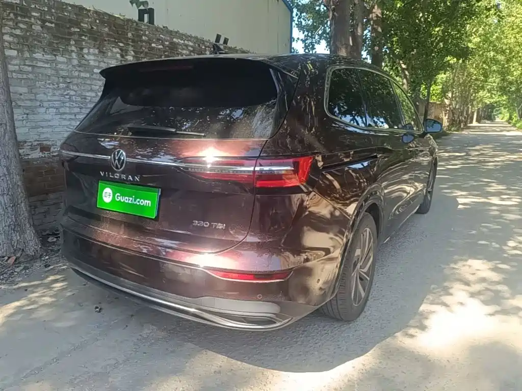 Фото 7 - Volkswagen Viloran