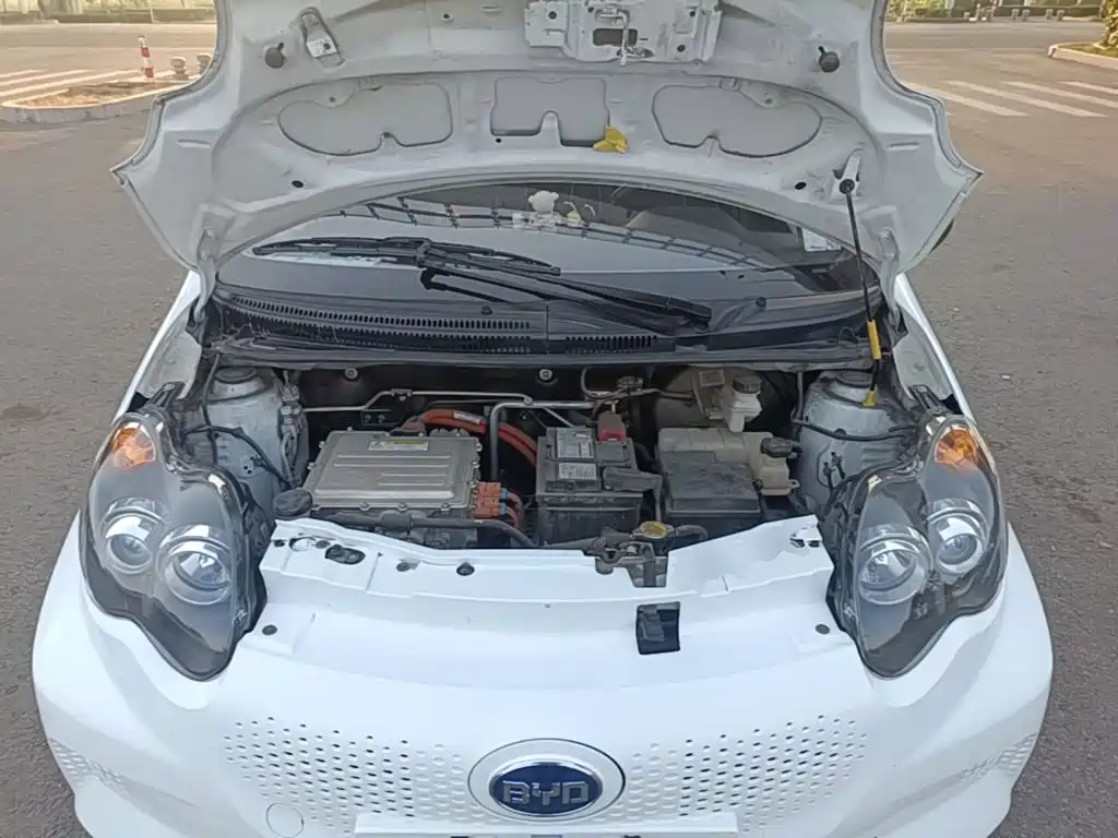 BYD e1 2020 2019 Joy Edition