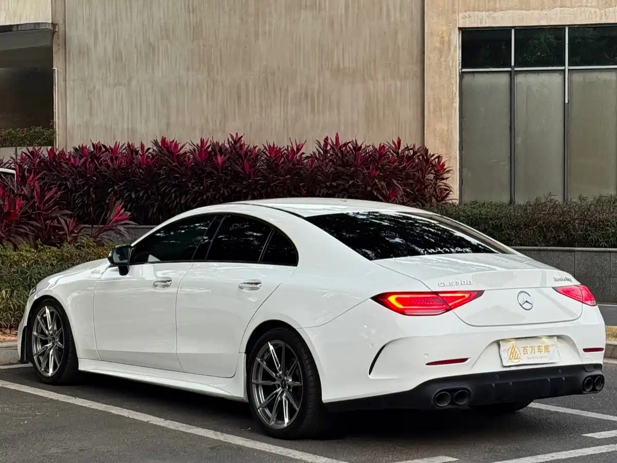 Mercedes-Benz CLS 2018 CLS 300 Dynamic фото 7