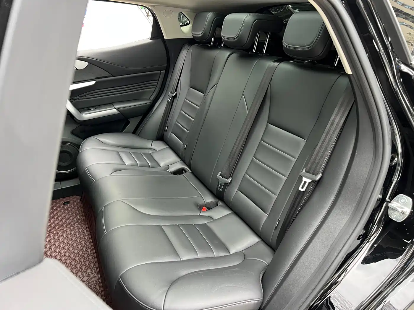 WEI PAI WEI BRAND VV5