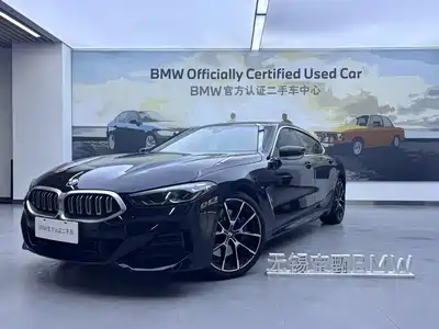BMW 8