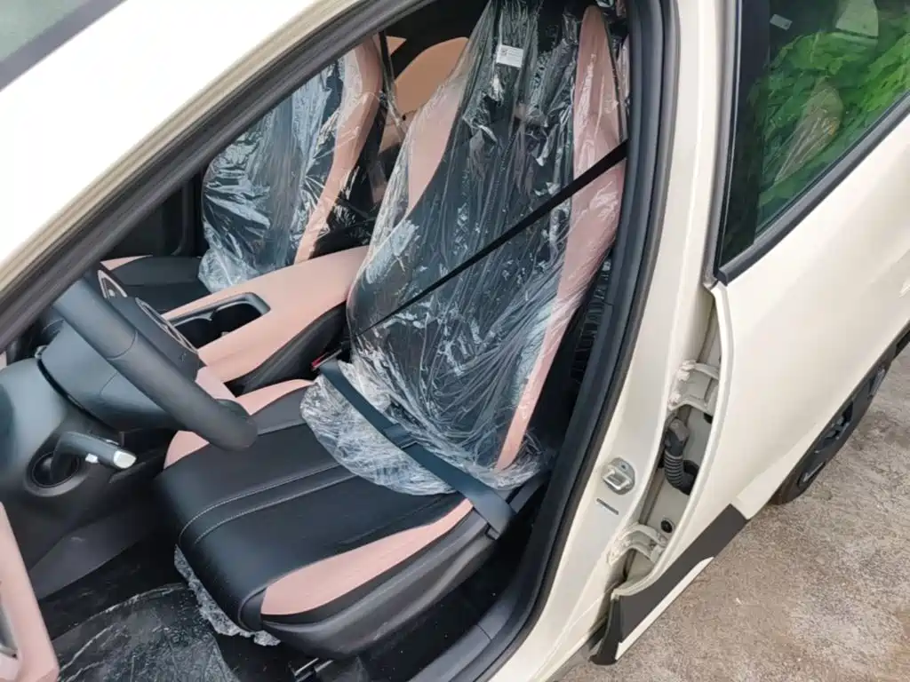 BYD Seagull 2026 2025 Smart Drive Edition 305km Vitality Version