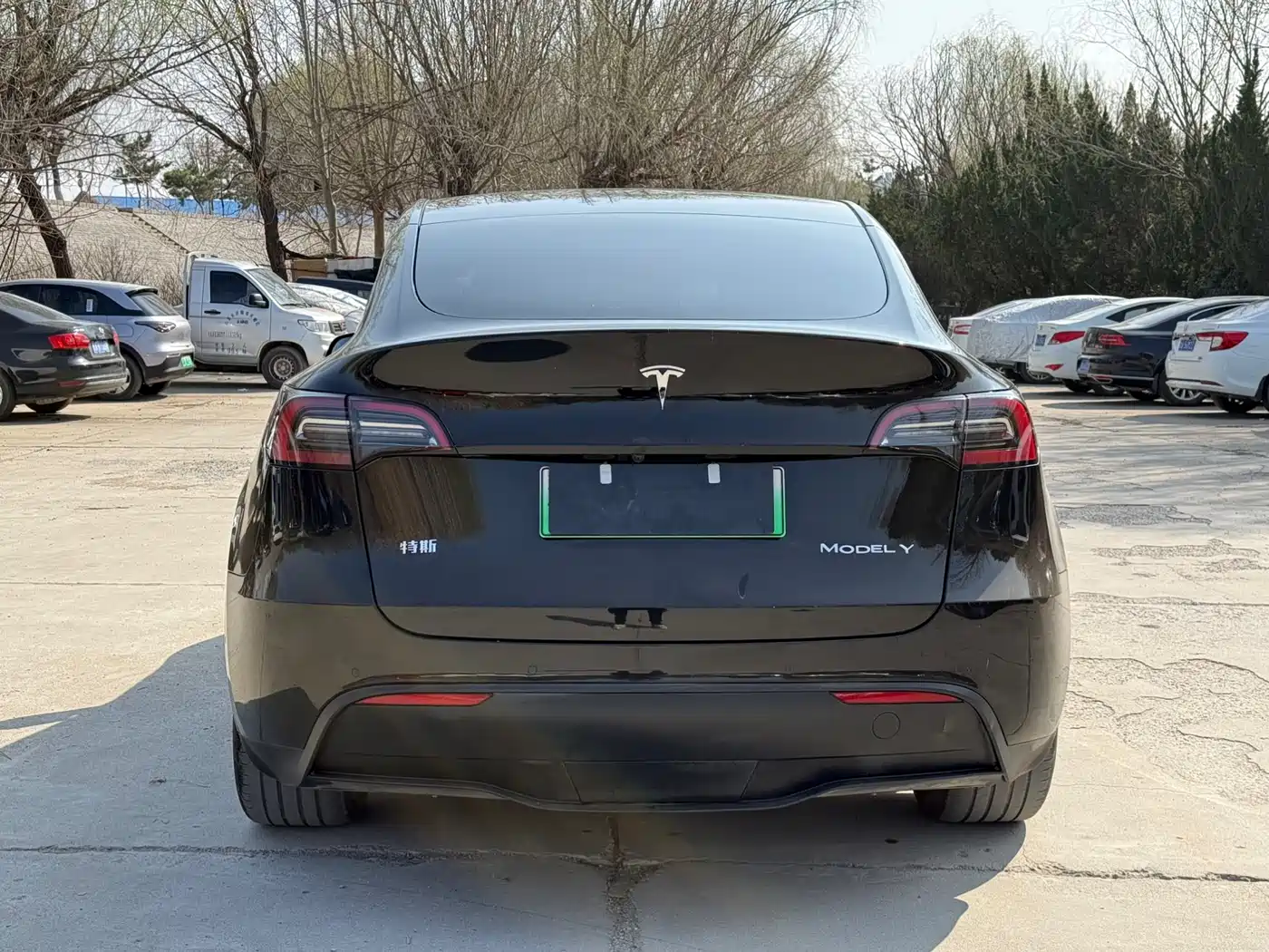 TESLA MODEL Y