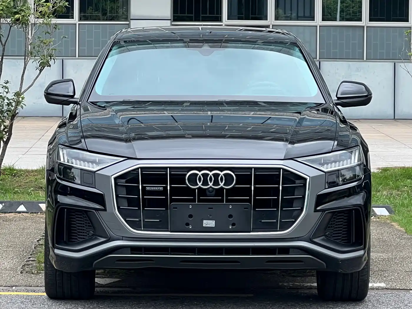 Audi Q8 2023 2022 55 TFSI Luxury Dynamic