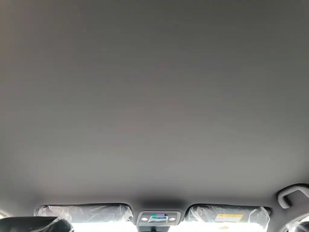 BYD Seagull 2026 2025 Smart Drive Edition 305km Vitality Version