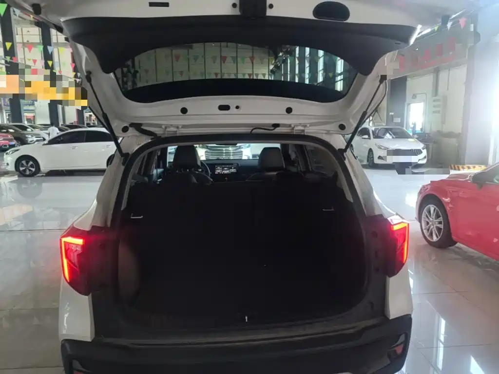 Kia Seltos 2024 2023 1.5L CVT Luxury Edition
