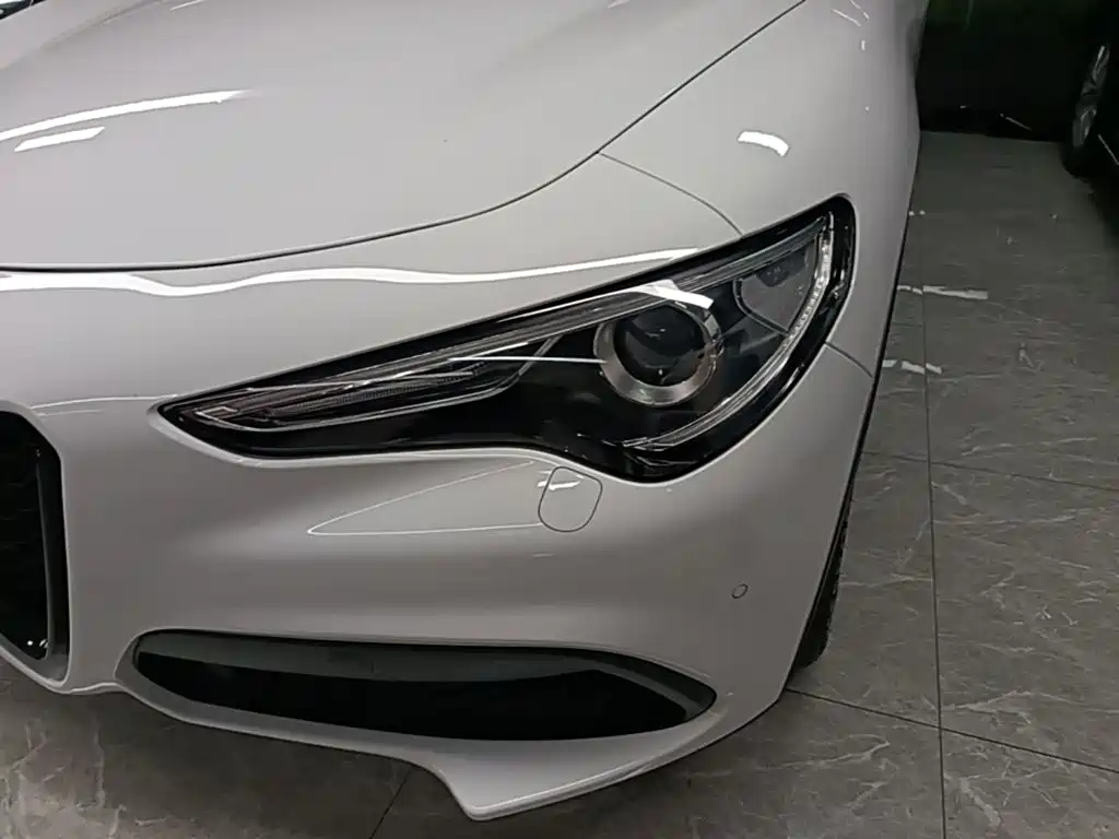 Alfa Romeo Stelvio 2021 2020 2.0T 280HP Luxury Edition