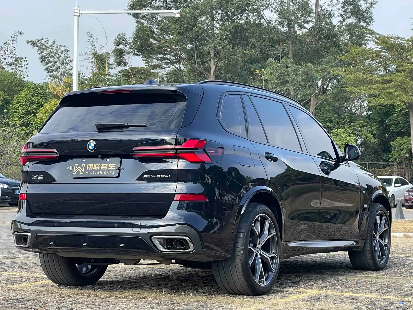 BMW X5 2023 xDrive 30Li Premium M Sport Black Night Package фото 8