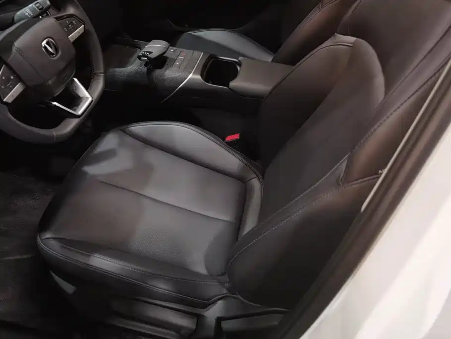 Фото 9 - Changan Eado