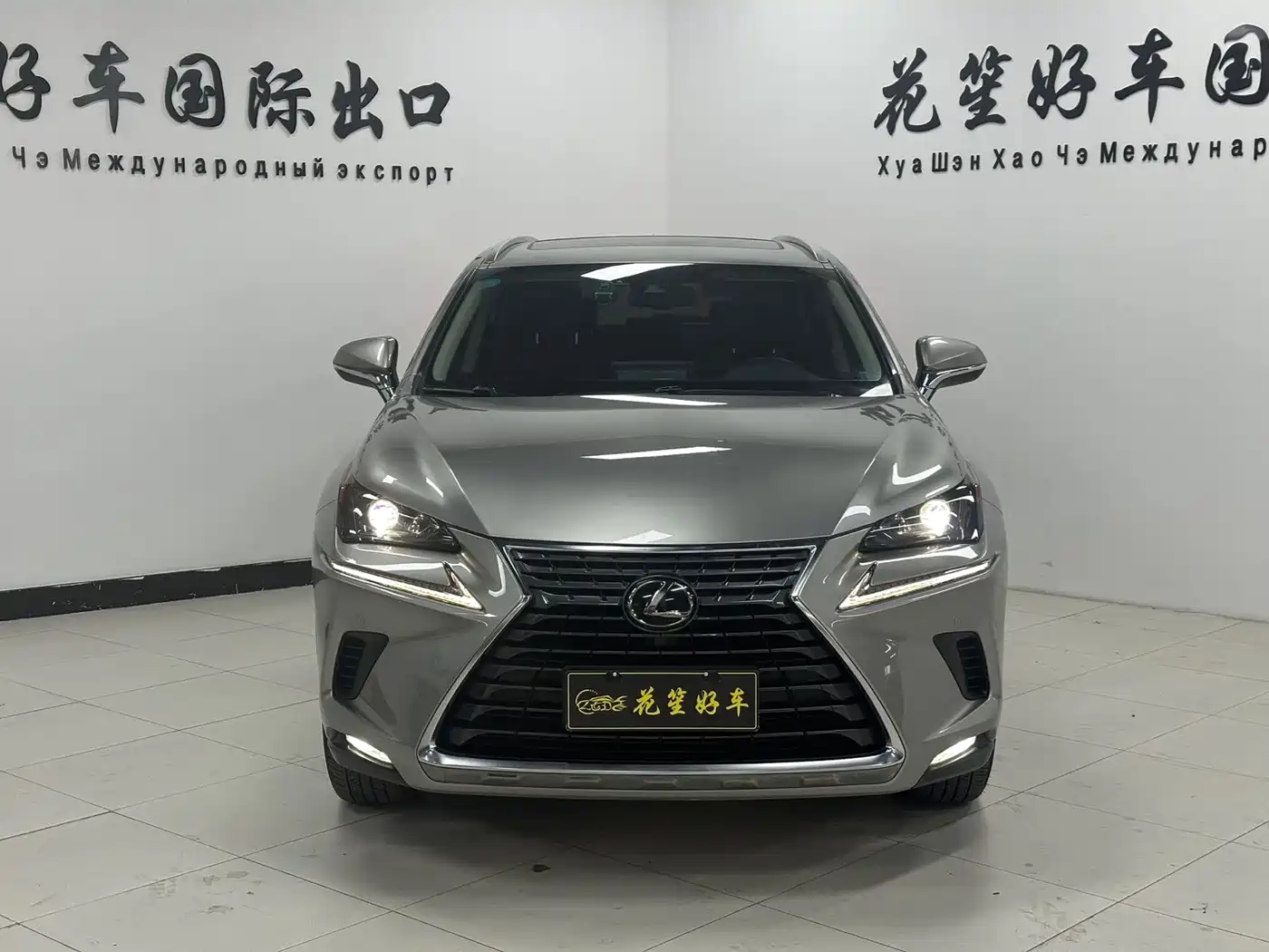 LEXUS NX