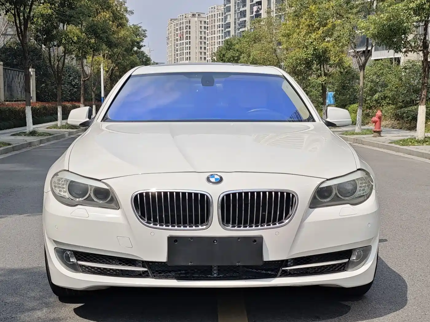 BMW 5 Series 2012 523Li Luxury фото 8