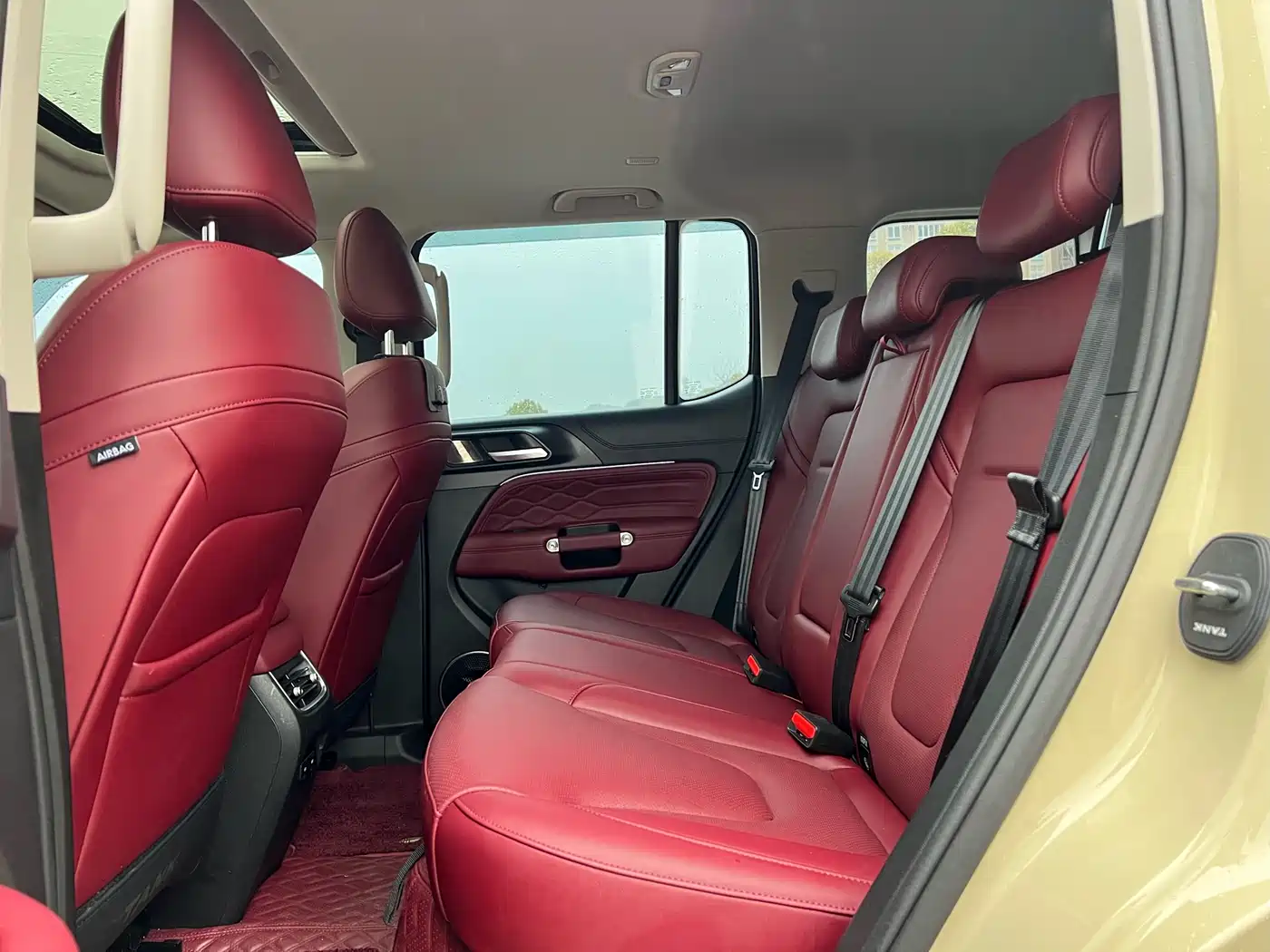 TANK TANK 300 NEW ENERGY