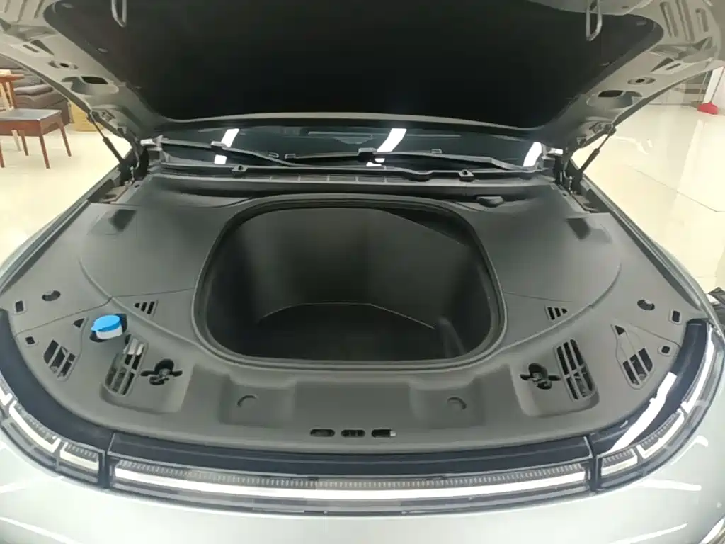 Фото 20 - XPeng P7