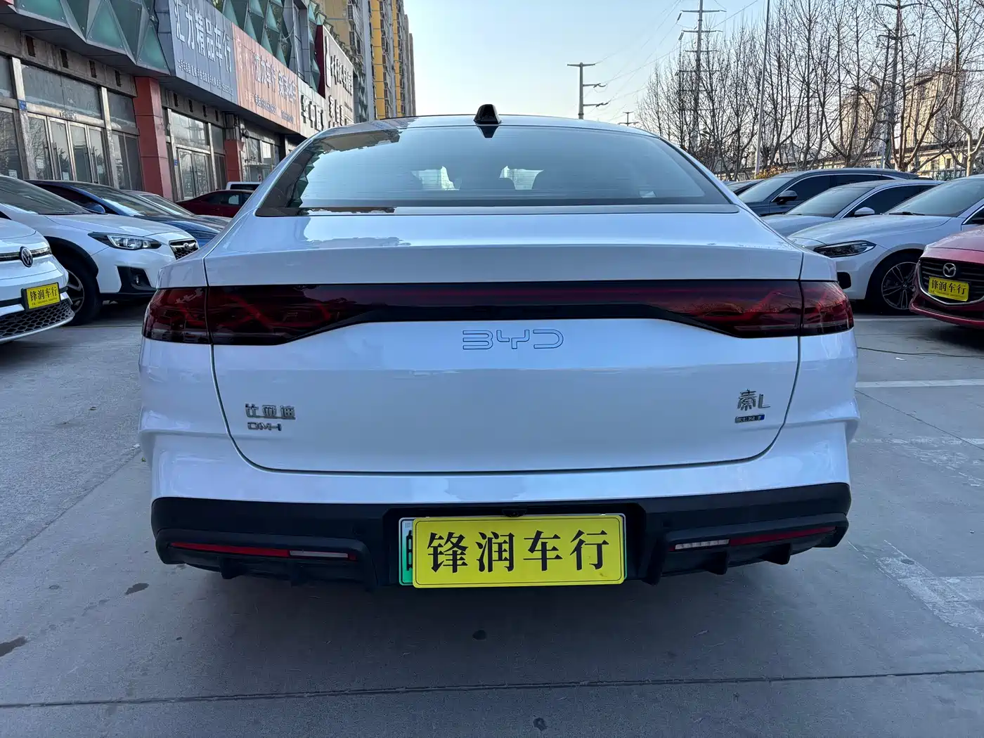 BYD Qin L 2024 DM-i 120KM Superior Edition фото 5