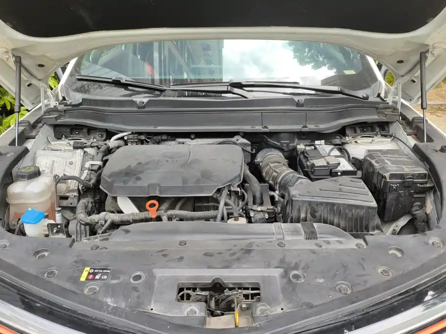 Haval Shenshou 2022 2022 2.0T Smart Premium Edition
