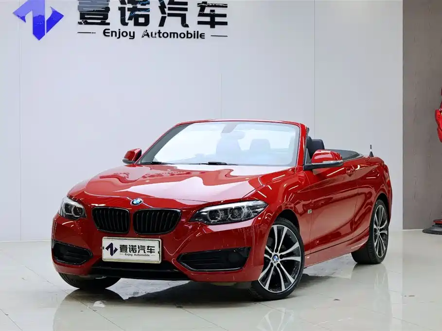 BMW 2 Series (Import) 2019 225i Convertible Coupe Sport Design Package фото 8