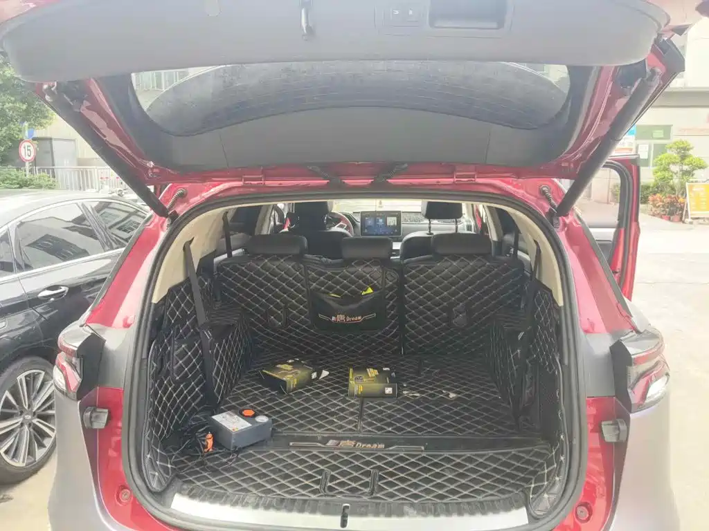 صورة 5 - BYD Tang New Energy
