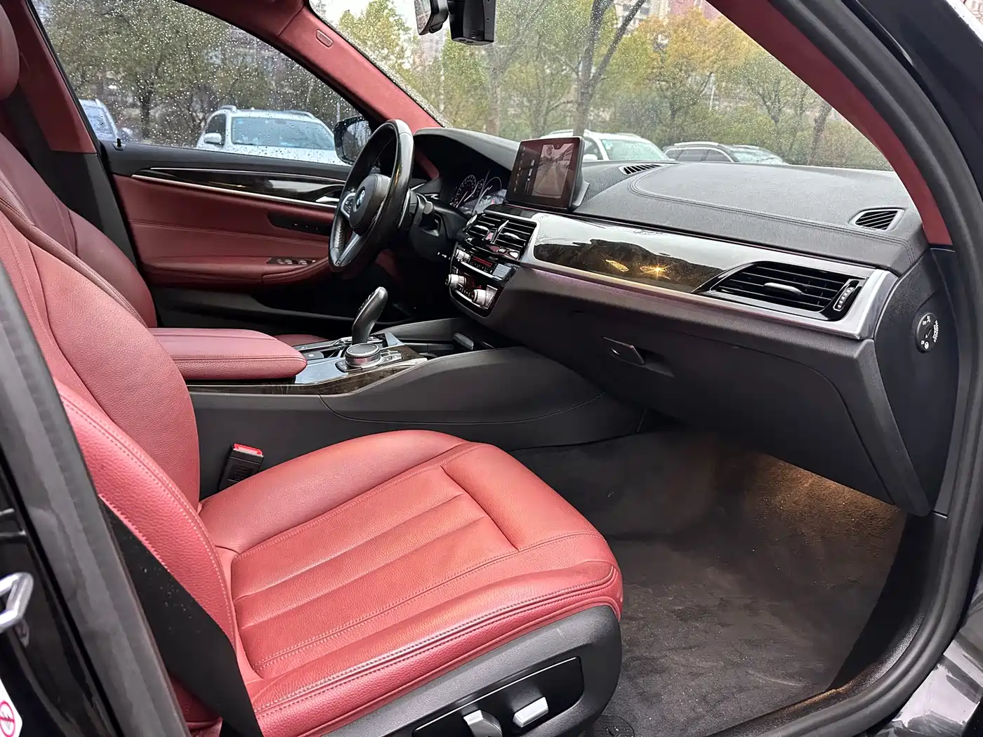 BMW 5 Series 2019 530Li Leading M Sport Package фото 13