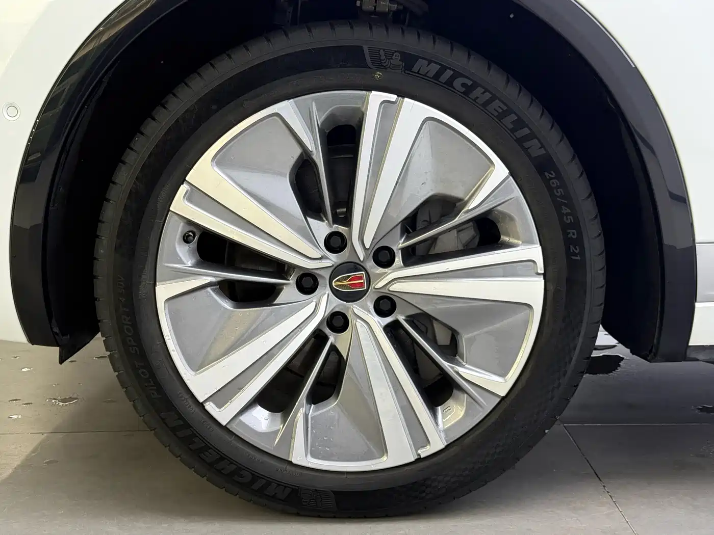 2023 Hongqi E-HS9
