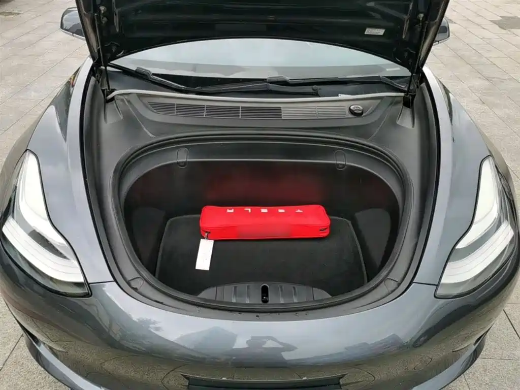 Tesla Model 3 (Import) 2019 2019 Performance High-Efficiency All-Wheel Drive Version