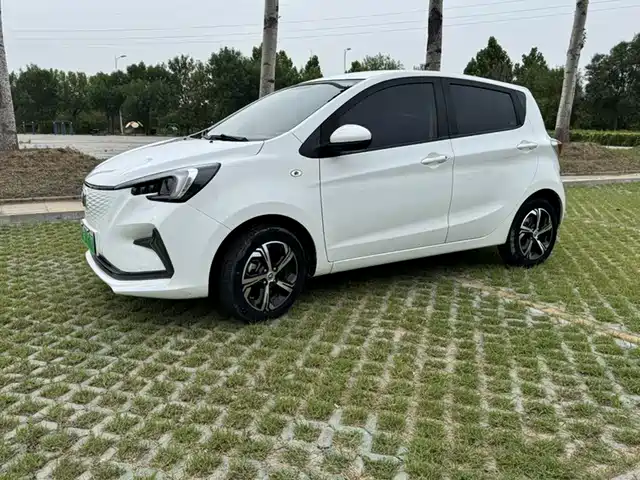 Changan Benben E-Star 2020