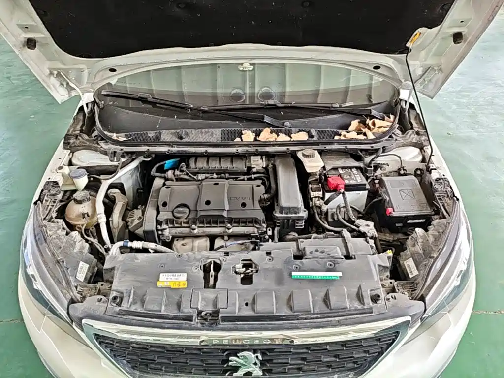 Peugeot 308 2018 2016 1.6L Manual Fashion