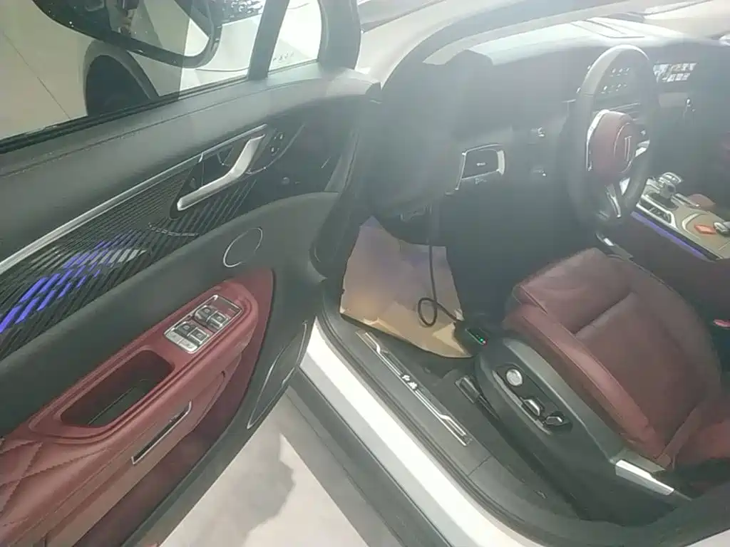 Hongqi E-HS9 2023 2022 660km Qi Chang Edition (6-seater)