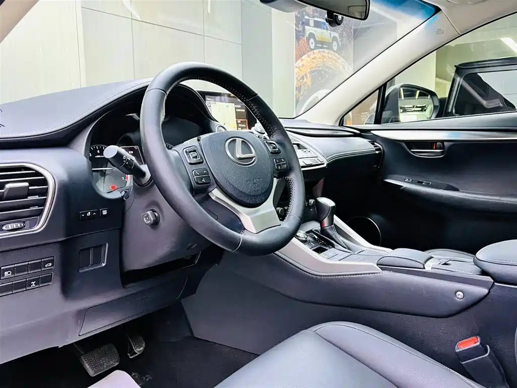 Lexus NX 2018 Model 300 AWD Fengshang Edition фото 8