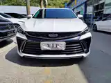 Фото 2 - Geely Binrui