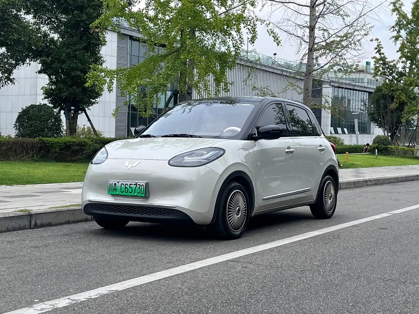  Wuling Motors Wuling Bingo 2025 Model 333km Joy Edition