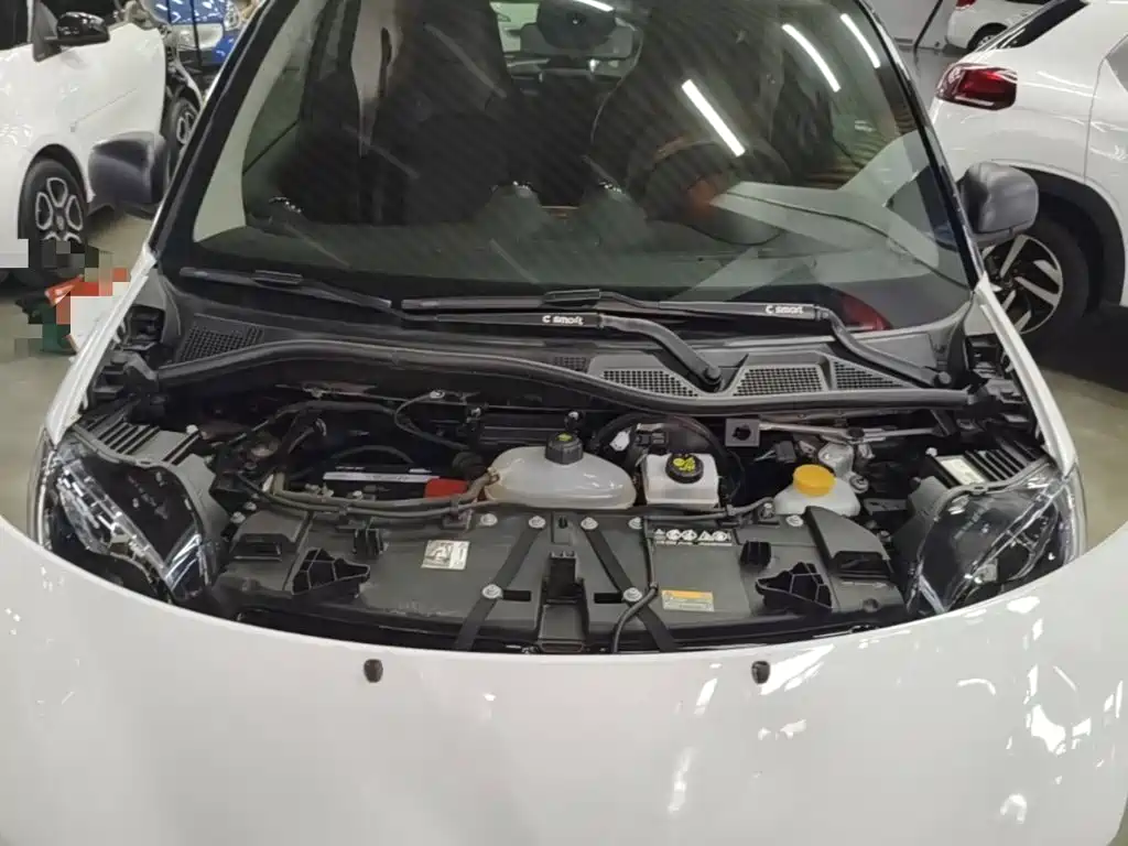smart fortwo 2019 2019 0.9T 66kW Hardtop Wind Edition China VI