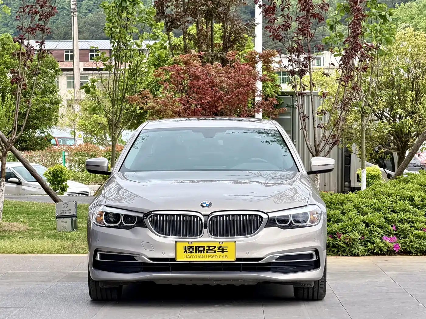 BMW 5 Series 2020 525Li Luxury Package фото 2