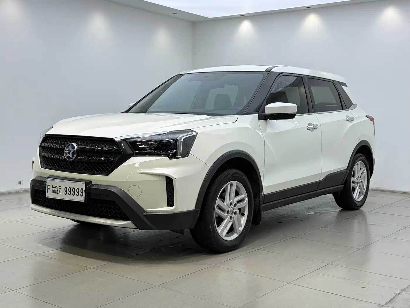 2022 Venucia T60