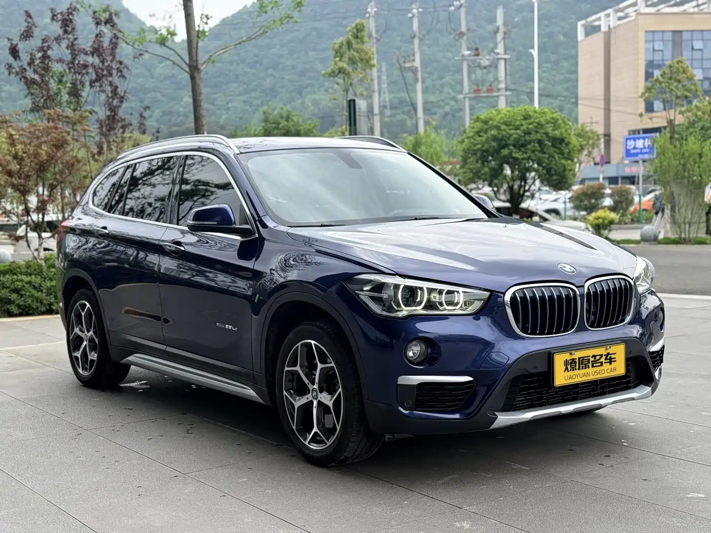BMW X1 New Energy 2018 xDrive25Le Luxury Model фото 3
