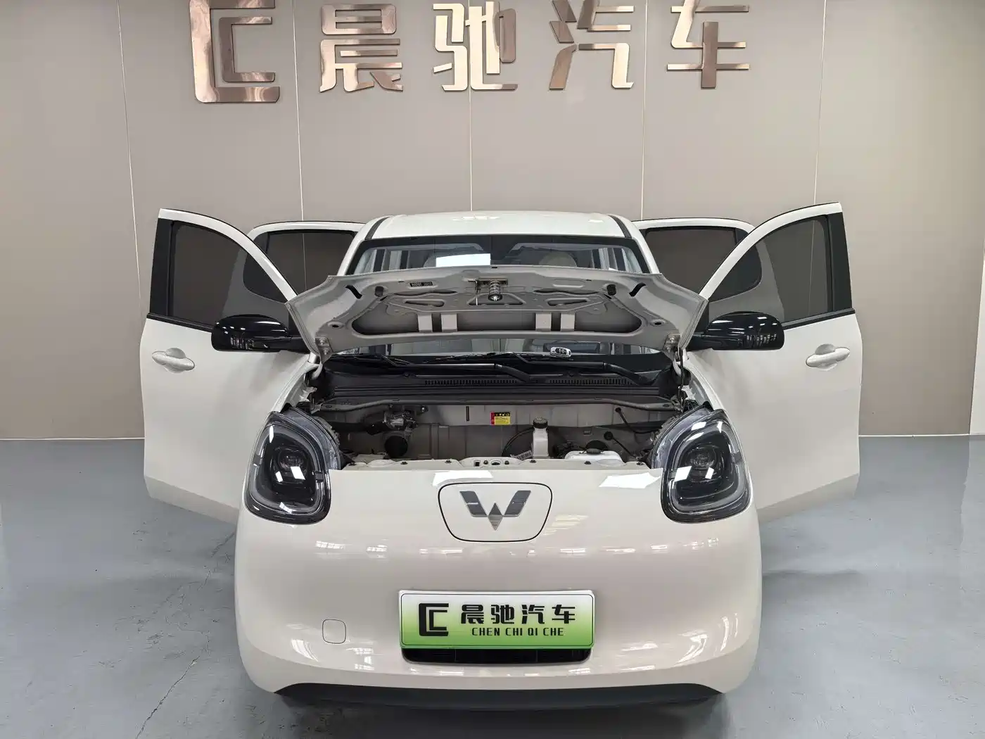 Фото 15 - Wuling Motors Hongguang MINIEV