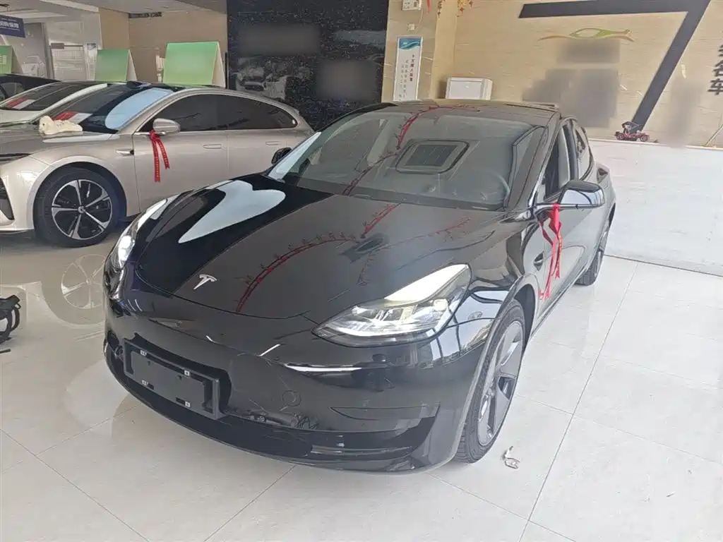 Tesla Model 3 2022 Model Rear-Wheel Drive Version
