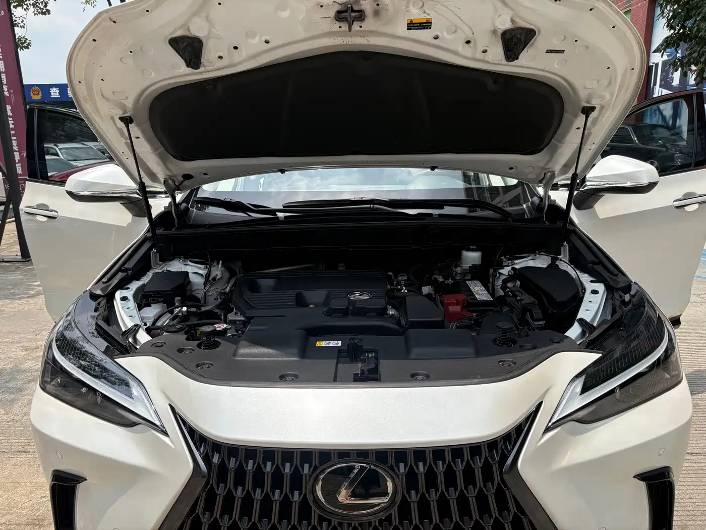 Lexus NX 2023 2022 260 FWD Joy Creation Edition