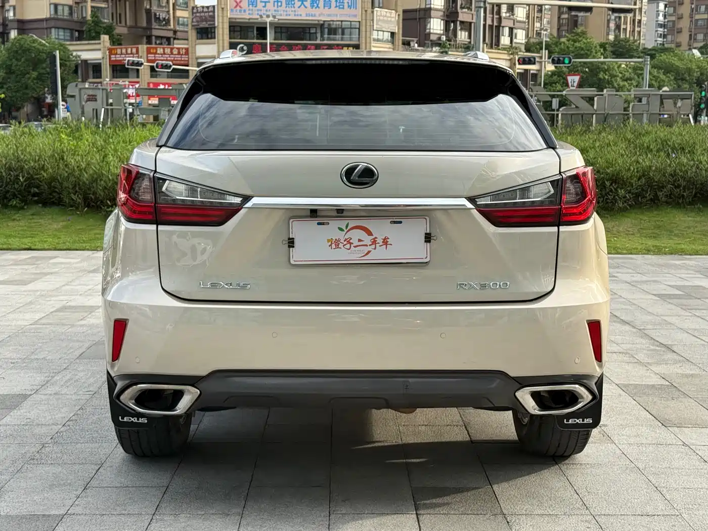 Lexus RX 2016 2016 300 2WD Comfort Edition China V