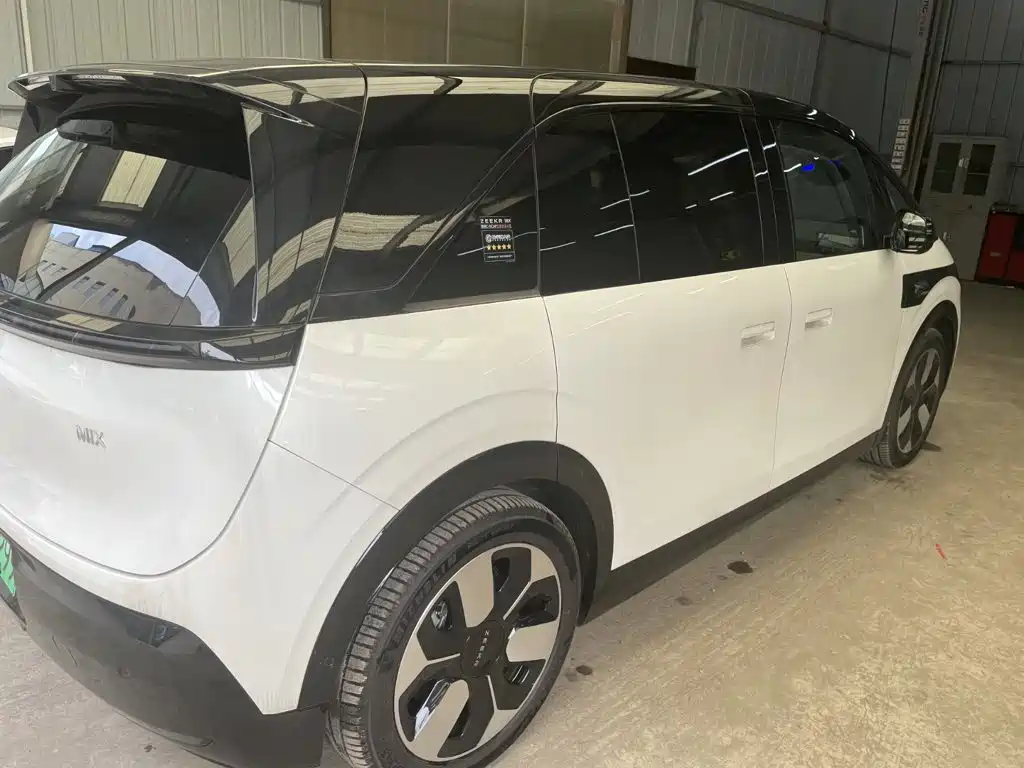 ZEEKR MIX 2026 2025 Smart Driving Edition