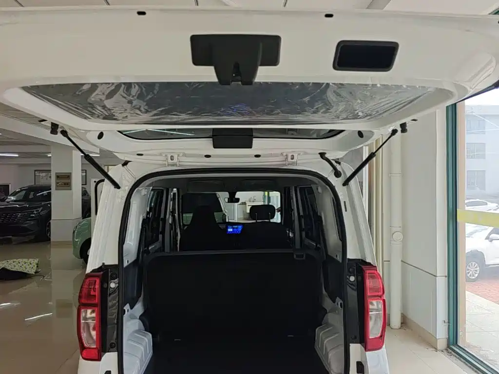 Wuling Motors Wuling Zhiguang NEV 2025 2025 Model Comfort