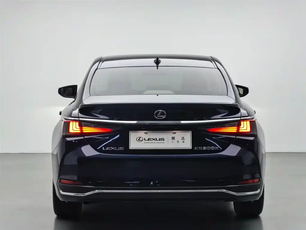 Lexus ES 2018 300h Excellence Edition China V фото 17