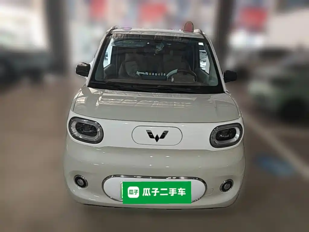 Фото 5 - Wuling Motors Hongguang MINIEV