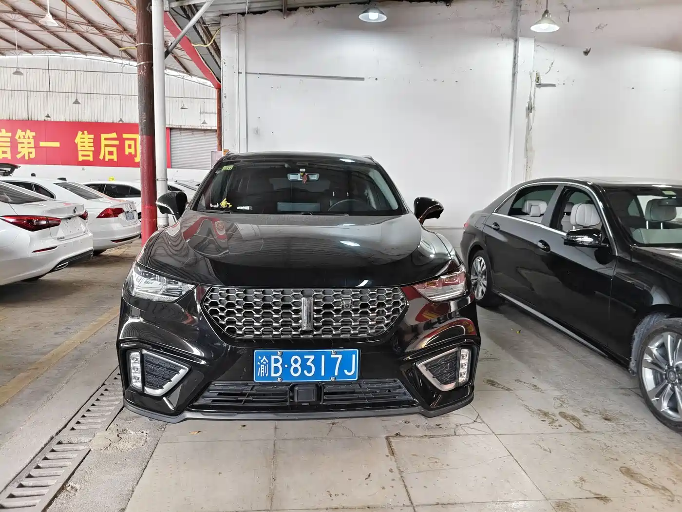 WEI PAI WEI BRAND VV5