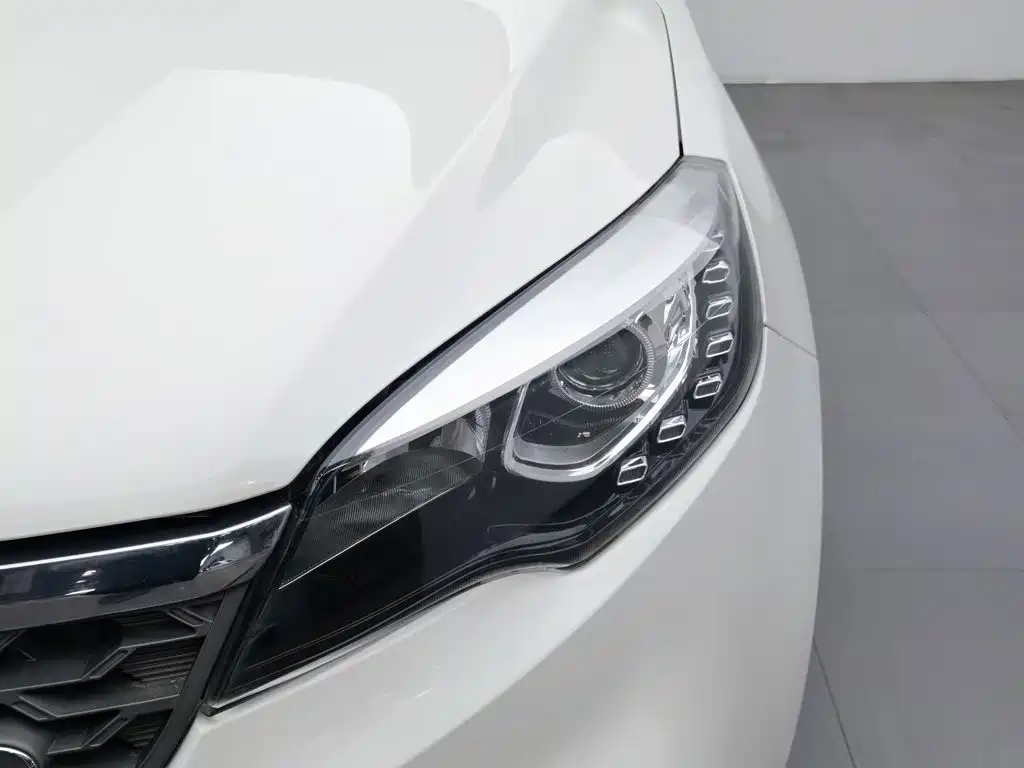 Leopaard CS10 2019 2017 Model 2.0T Automatic Urban Edition