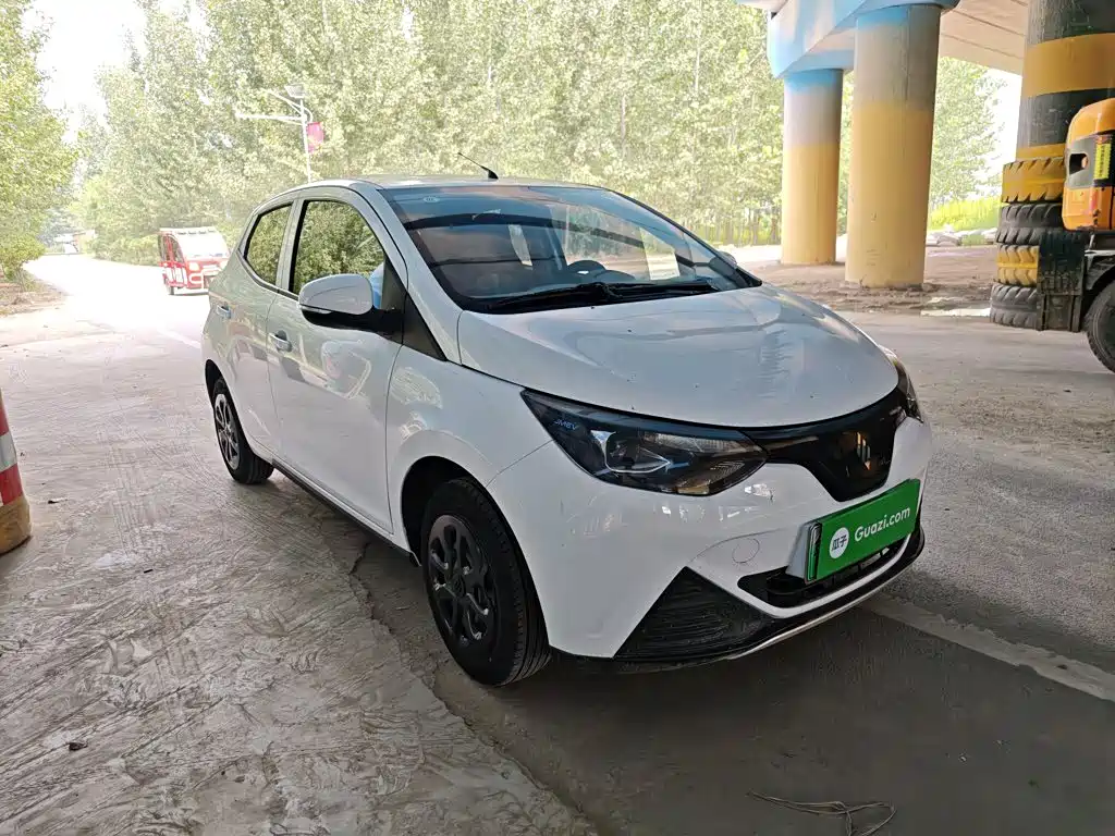 JMCG New Energy Little Kirin 2024 2023 Model Lucky Edition 201km Comfort