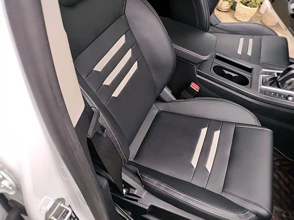 BYD Qin Pro 2021 2020 Surpass Edition 1.5TI Automatic Premium