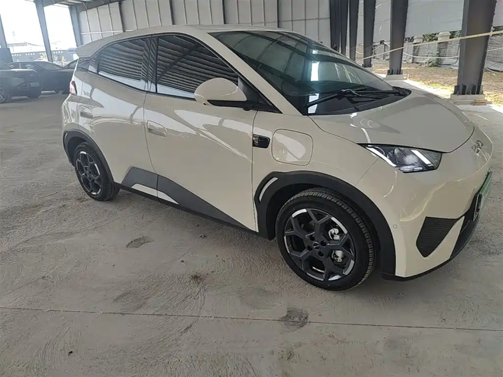 BYD Seagull 2025 Smart Drive Edition 305km Freedom Version фото 4